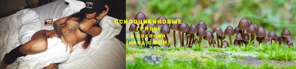 каннабис Абинск